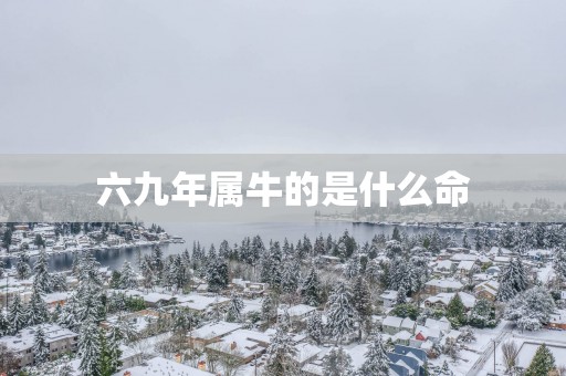 六九年属牛的是什么命