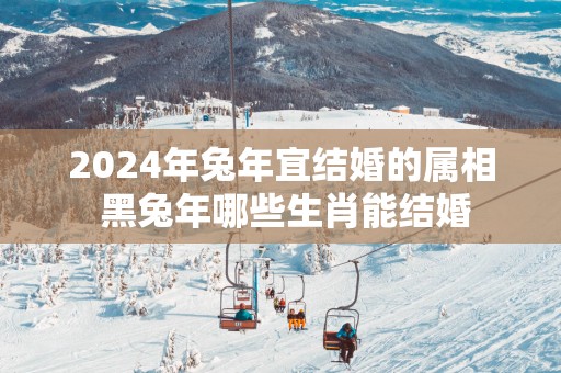 2025年蛇年宜结婚的属相 黑蛇年哪些生肖能结婚
