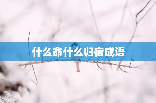 什么命什么归宿成语