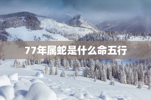 77年属蛇是什么命五行
