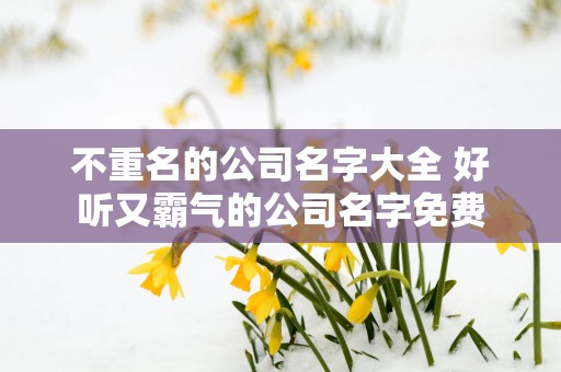 不重名的公司名字大全 好听又霸气的公司名字免费
