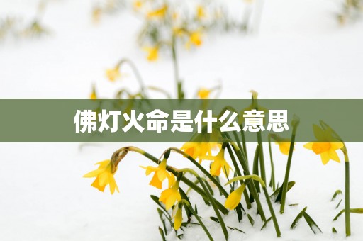 佛灯火命是什么意思