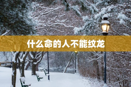 什么命的人不能纹龙