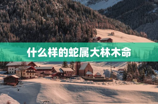 什么样的蛇属大林木命