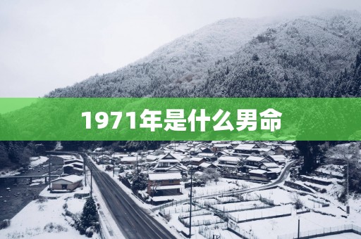 1971年是什么男命