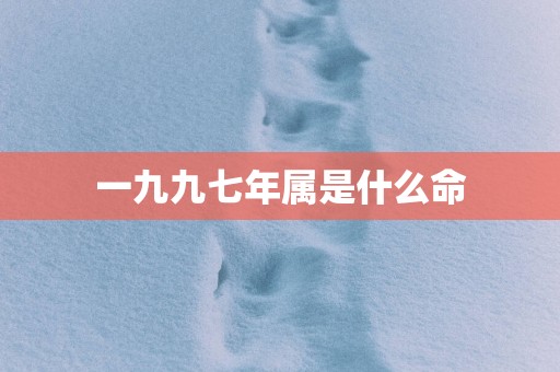 一九九七年属是什么命
