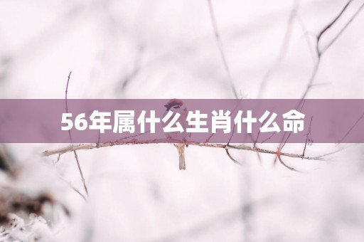 56年属什么生肖什么命