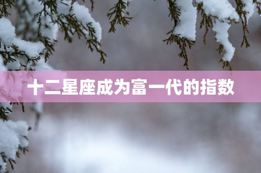 十二星座成为富一代的指数