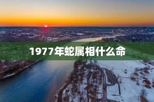 1977年蛇属相什么命