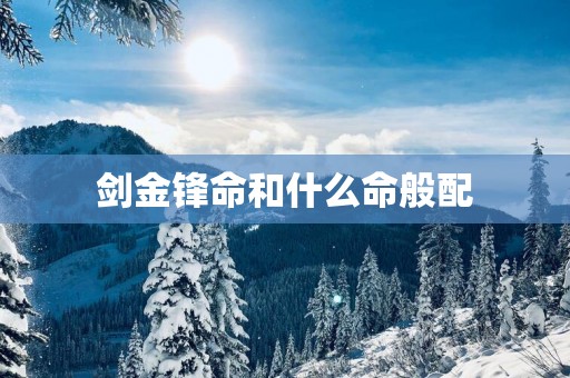 剑金锋命和什么命般配