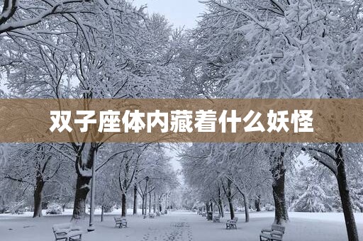 双子座体内藏着什么妖怪