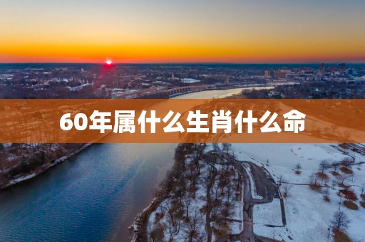 60年属什么生肖什么命