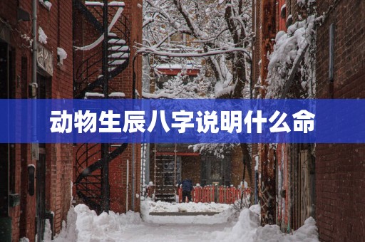 动物生辰八字说明什么命