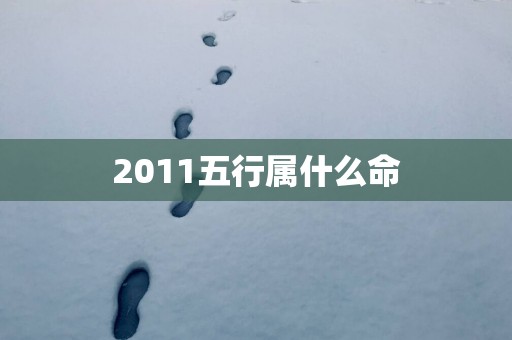 2011五行属什么命