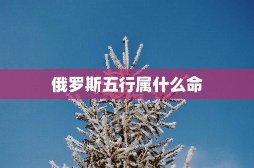 俄罗斯五行属什么命