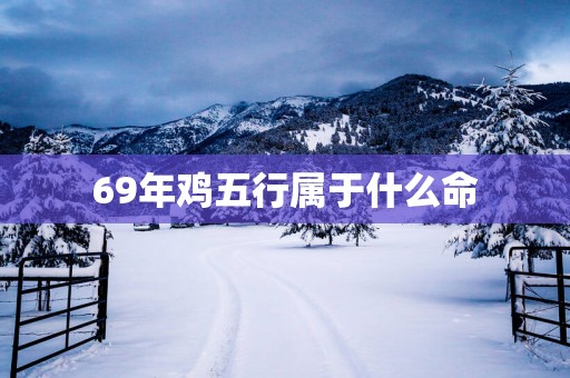 69年鸡五行属于什么命