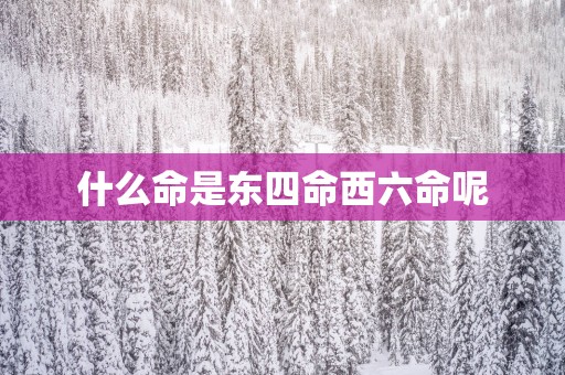 什么命是东四命西六命呢
