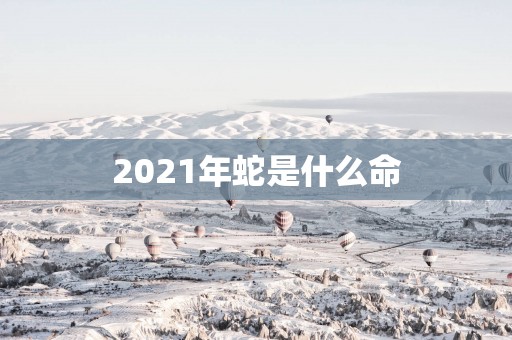 2025年蛇是什么命