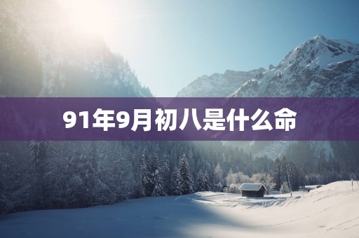 91年9月初八是什么命