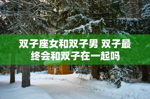 双子座女和双子男 双子最终会和双子在一起吗