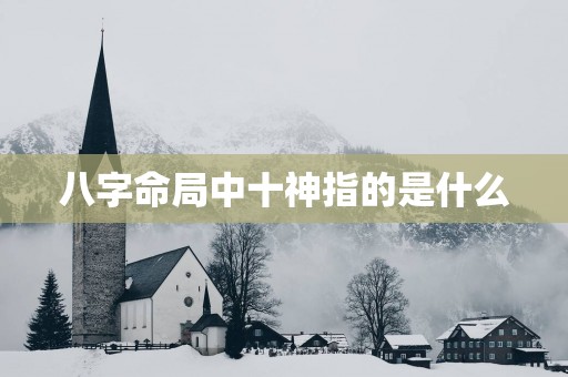 八字命局中十神指的是什么