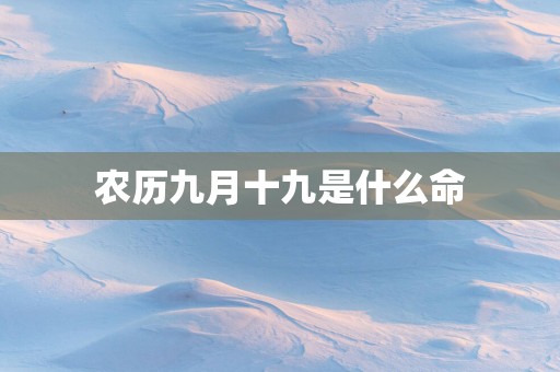 农历九月十九是什么命
