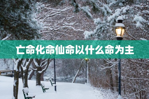亡命化命仙命以什么命为主