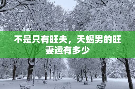 不是只有旺夫，天蝎男的旺妻运有多少
