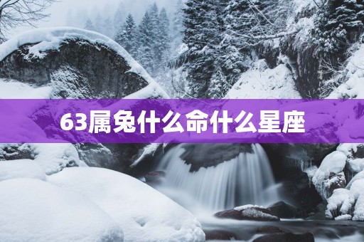 63属兔什么命什么星座