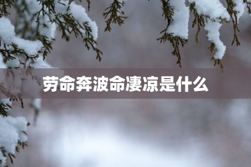 劳命奔波命凄凉是什么
