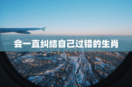 会一直纠结自己过错的生肖
