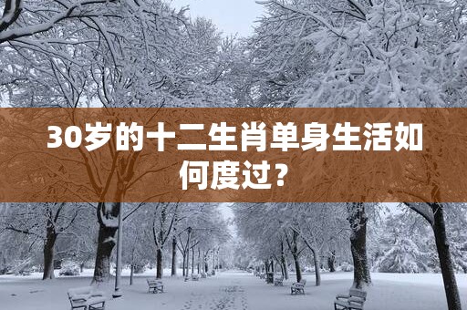 30岁的十二生肖单身生活如何度过？