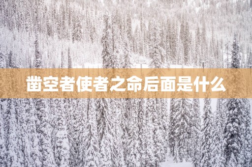 凿空者使者之命后面是什么