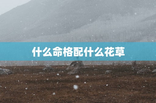 什么命格配什么花草