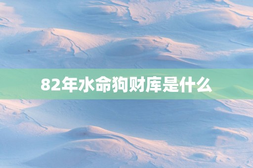 82年水命狗财库是什么