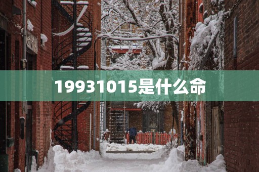 19931015是什么命