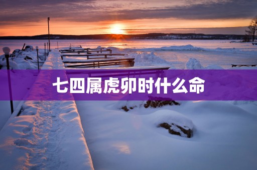 七四属虎卯时什么命