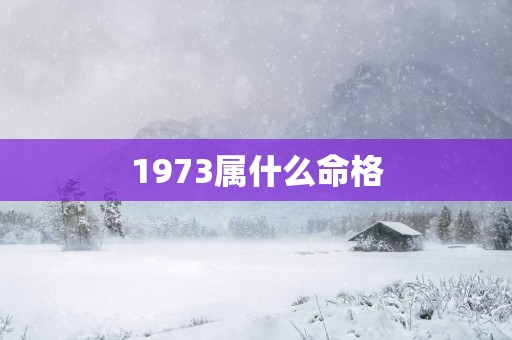 1973属什么命格