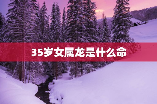 35岁女属龙是什么命