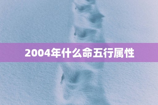 2004年什么命五行属性