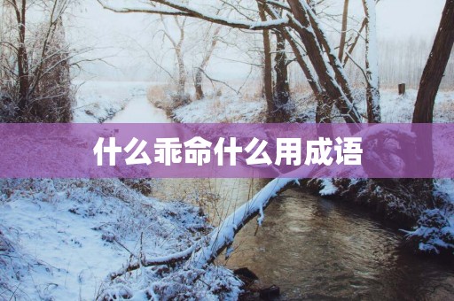 什么乖命什么用成语