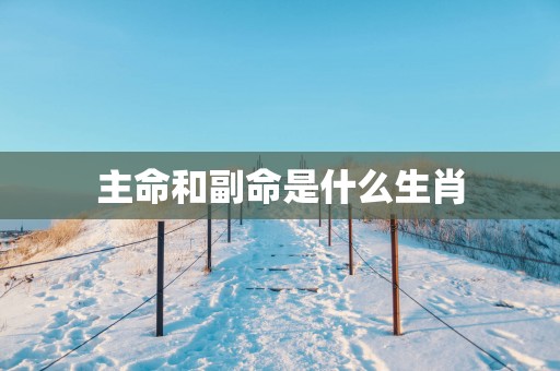主命和副命是什么生肖
