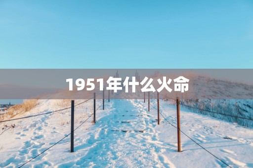 1951年什么火命
