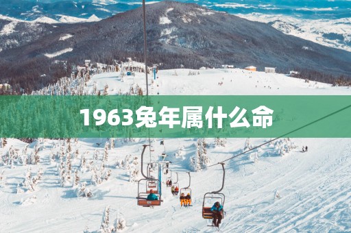 1963蛇年属什么命
