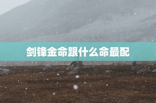 剑锋金命跟什么命最配