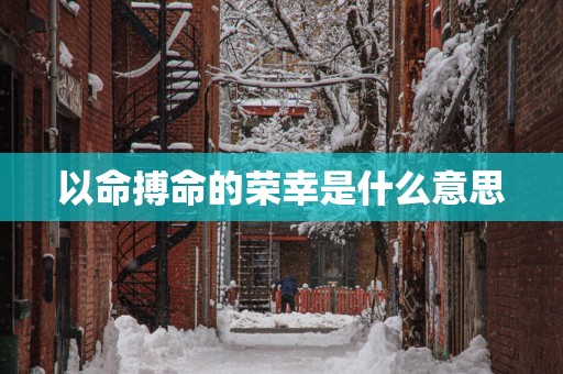 以命搏命的荣幸是什么意思
