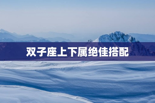 双子座上下属绝佳搭配