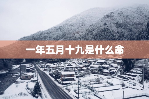 一年五月十九是什么命