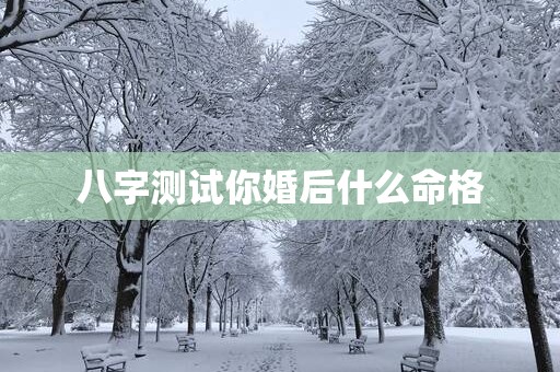 八字测试你婚后什么命格