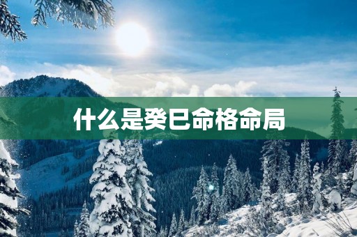 什么是癸巳命格命局